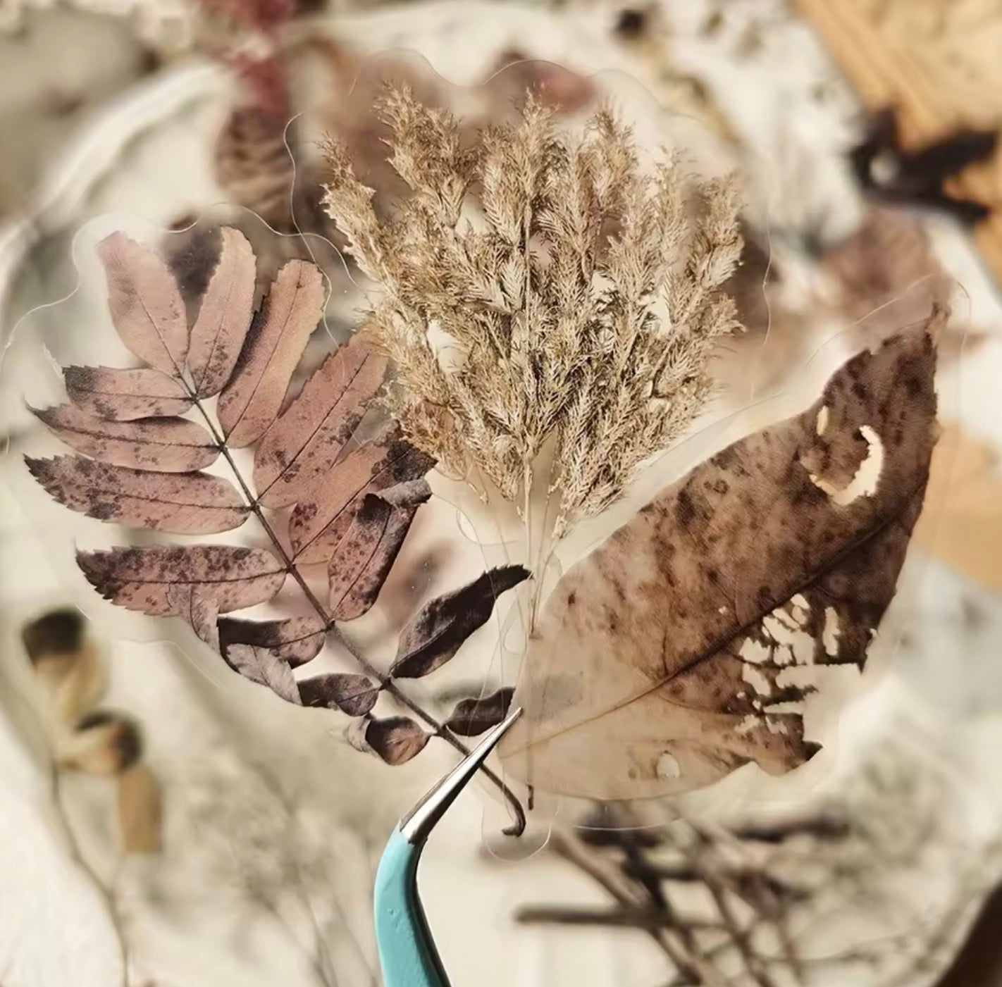 Autocollant nature transparent