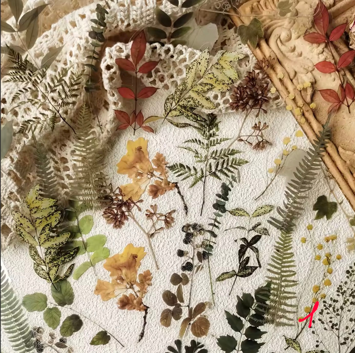 Autocollant nature transparent